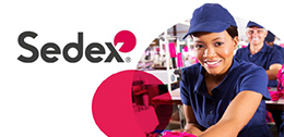 Sedex驗廠